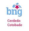 BNG Cerdedo-Cotobade